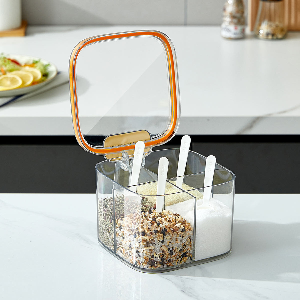 4-Grid Spice Storage Box – Multi-Section Seasoning Organizer with Spoon